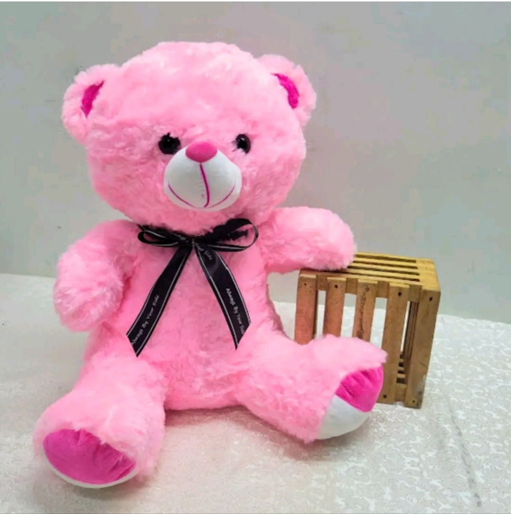 Pink Mushy Teddy Bear