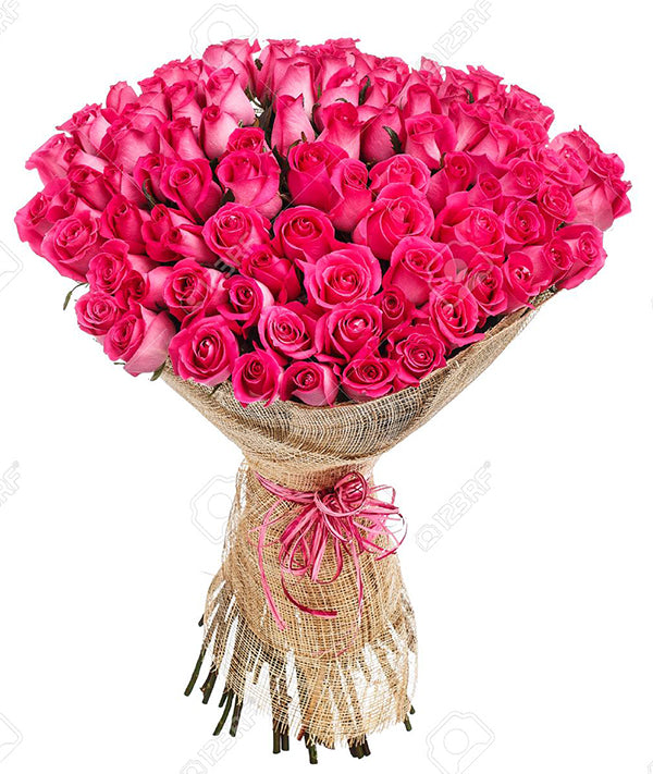 Hot pink roses