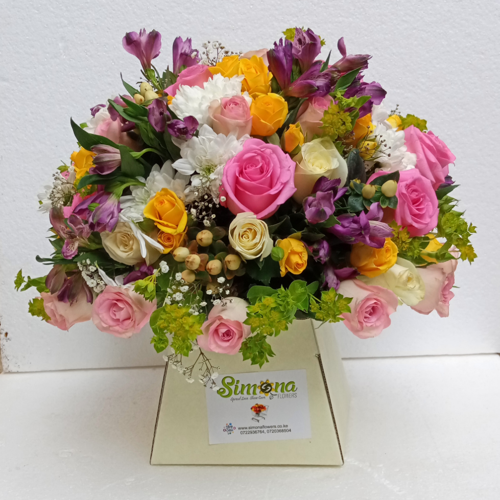 Beyond beauty royal box